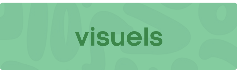 Visuel